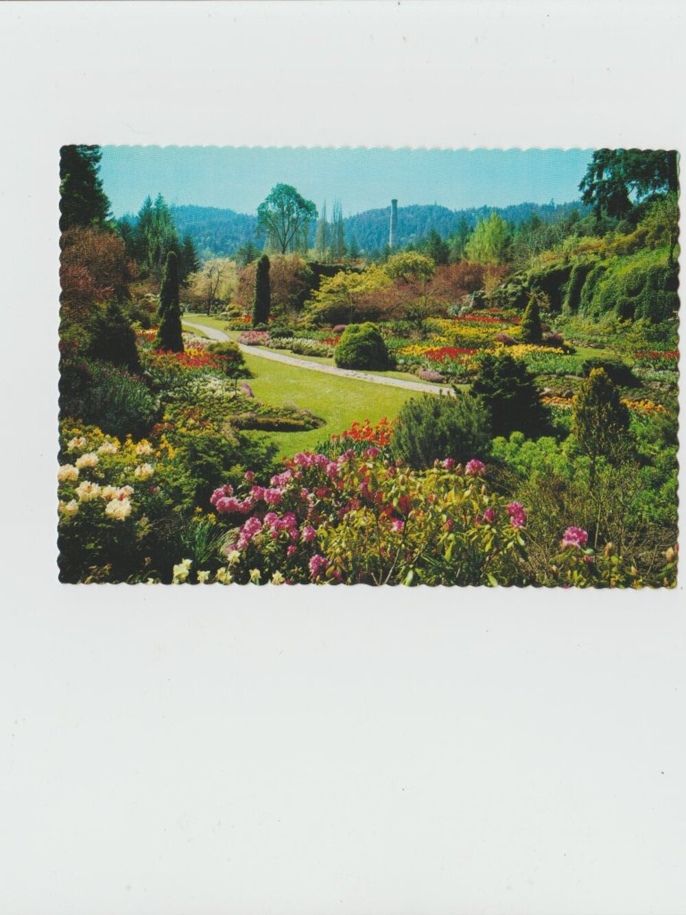 Original Butchart Gardens Victoria, B.C., Canada Uncirculated Postcard